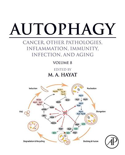 Autophagy: Cancer, Other Pathologies, Inflammation, Immunity, Infection, and Aging: Volume 8- Human Diseases