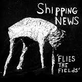 flies the fields