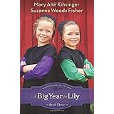 a big year for lily the adventures of lily lapp volume 3