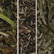 white tea collection