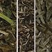 white tea collection