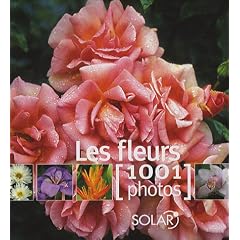 Les fleurs : 1001 Photos