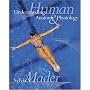 Understanding Human Anatomy and Physiology