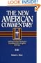 The New American Commentary Volume 11 - Job