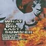 Robbie Williams: What We Did Last Summer - Live at Knebworth