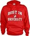 terrier7 - Boston Terriers Perennial Hooded Sweatshirt