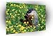 Squirrel tasty buds woodchuck poster A2 Large Canvas Art