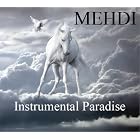 Instrumental Paradise Volume 8 by  Mehdi 