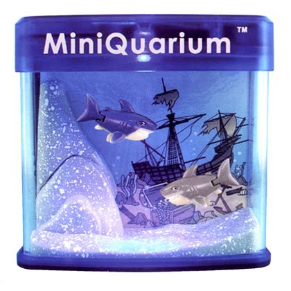 Childrens Toyshop  Toys : Miniquarium Shark Encounter, Battery-Powered
