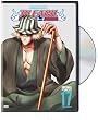 Bleach, Vol. 17