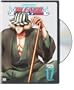 Bleach, Vol. 17