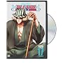 Bleach, Vol. 17