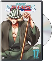Bleach, Vol. 17