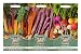 Mr Fothergill's Seeds Colourful Vegetables Collection
