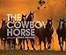 Cowboy Horse