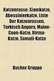 Katzenrasse: Siamkatze, Abessinierkatze, Liste der Katzenrassen, Türkisch Angora, Maine-Coon-Katze, Angorakatze, Tonkanese, Somali-Katze, Norwegische ... Burma-Katze, Türkisch Van, Perserkatze