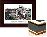 Florida Gators Swamp Collegiate Laminated Lithograph