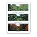Itin�raires d'un jardinier