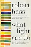What light can do : essays on art, imagination, and the natural world