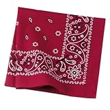 Port Authority Bandana