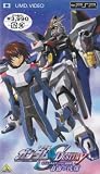 機動戦士ガンダムSEED DESTINY スペシャルエディション完結編 自由の代償