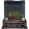 Steiner Sports MLB New York Yankees Authentic Yankee Stadium "Freeze Dried Grass" Sod w/ Glass Display Case