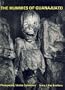 Mummies of Guanajuato