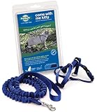 Petsafe Come With Me Kitty Harness and Bungee Leash, Large, Royal Blue