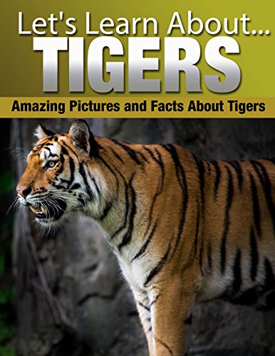 Tigers: Amazing Pictures and Facts About Tigers (Let's Learn About)
