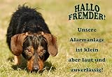 Metall - Warnschild Rauhhaar-Teckel, Rauhhaar-Dackel, Rauhhaardackel