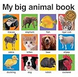 My big animal book