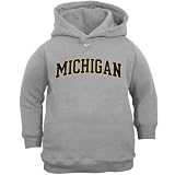 Nike Michigan Wolverines Ash Preschool Hoody Sweatshirt