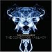 The Concorde Fallacy