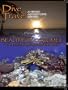Dive Travel Beautiful Cozumel The Drift Diving Capital of the World