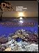 Dive Travel Beautiful Cozumel The Drift Diving Capital of the World