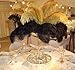 Shekyeon Gold 16-18inch 40-45cm Ostrich Feather DIY Craft Feather Pack of 10
