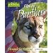 Florida Panthers: Struggle for Survival (America's Animal Comebacks)