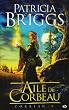 Corbeau, tome 1 : Aile de Corbeau