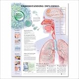 Understanding Influenza