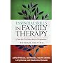 Essential Skills in Family Therapy, Second Edition: From the First Interview to Termination (The Guilford Family Therapy Series)
