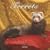 Ferrets 2009 Square Wall Calendar (Multilingual Edition)