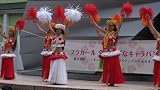 ����Фä� �ե饬����!  ���ե����ޤ������롣��������Τ��ޡ���DVD��