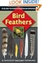 Bird Feathers: A Guide to North American Species (Birds Ornithology)