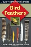 Bird Feathers: A Guide To North Ameri...