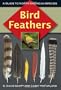 Bird Feathers: A Guide To North American Species
