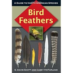 Bird Feathers: A Guide To North American Species