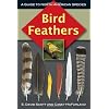 Bird Feathers: A Guide To North American Species