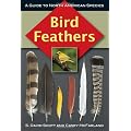 Bird Feathers: A Guide To North American Species