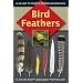 Bird Feathers: A Guide To North American Species