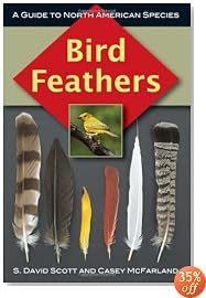 Bird Feathers: A Guide to North American Species (Birds Ornithology)
